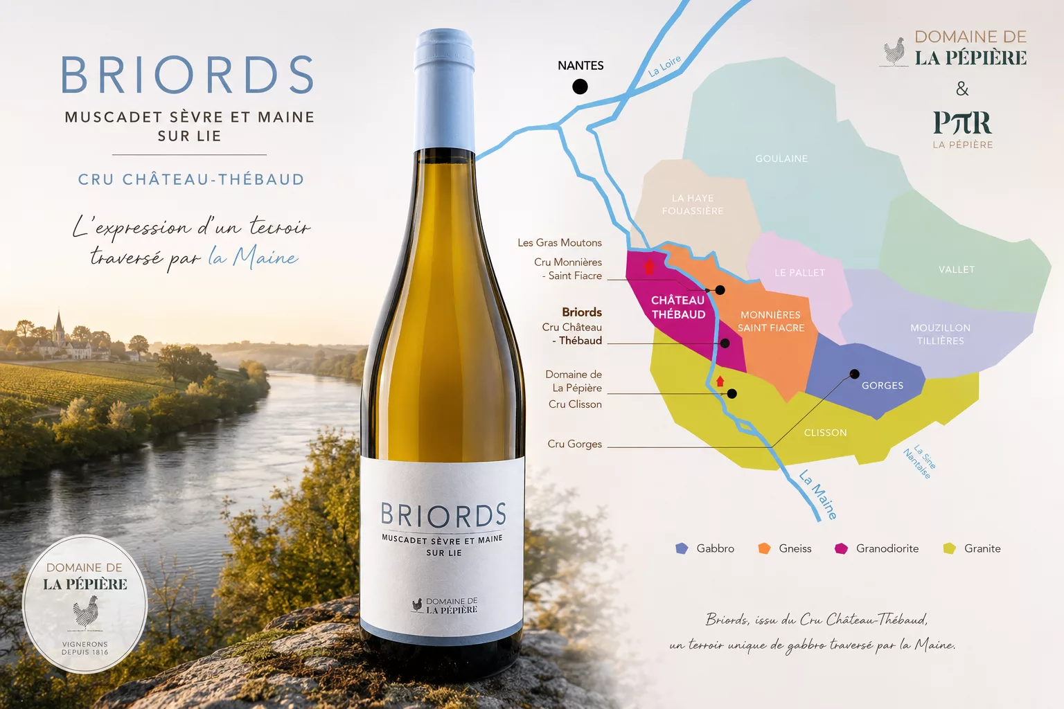 Muscadet Sèvre et Maine sur Lie Briords 2025 Domaine de la Pépière
